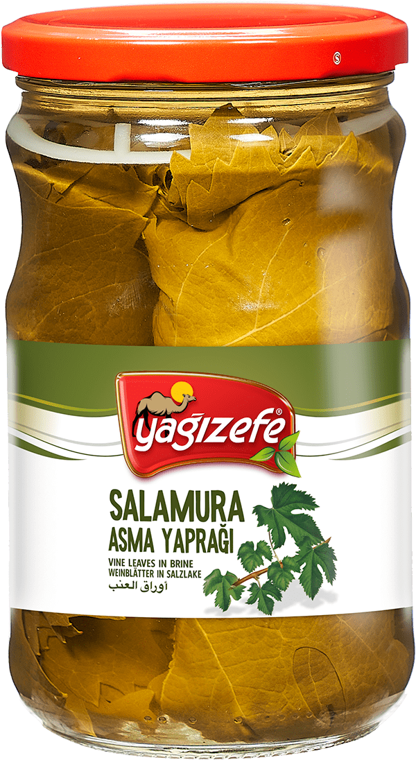 Salamura Asma Yaprağı