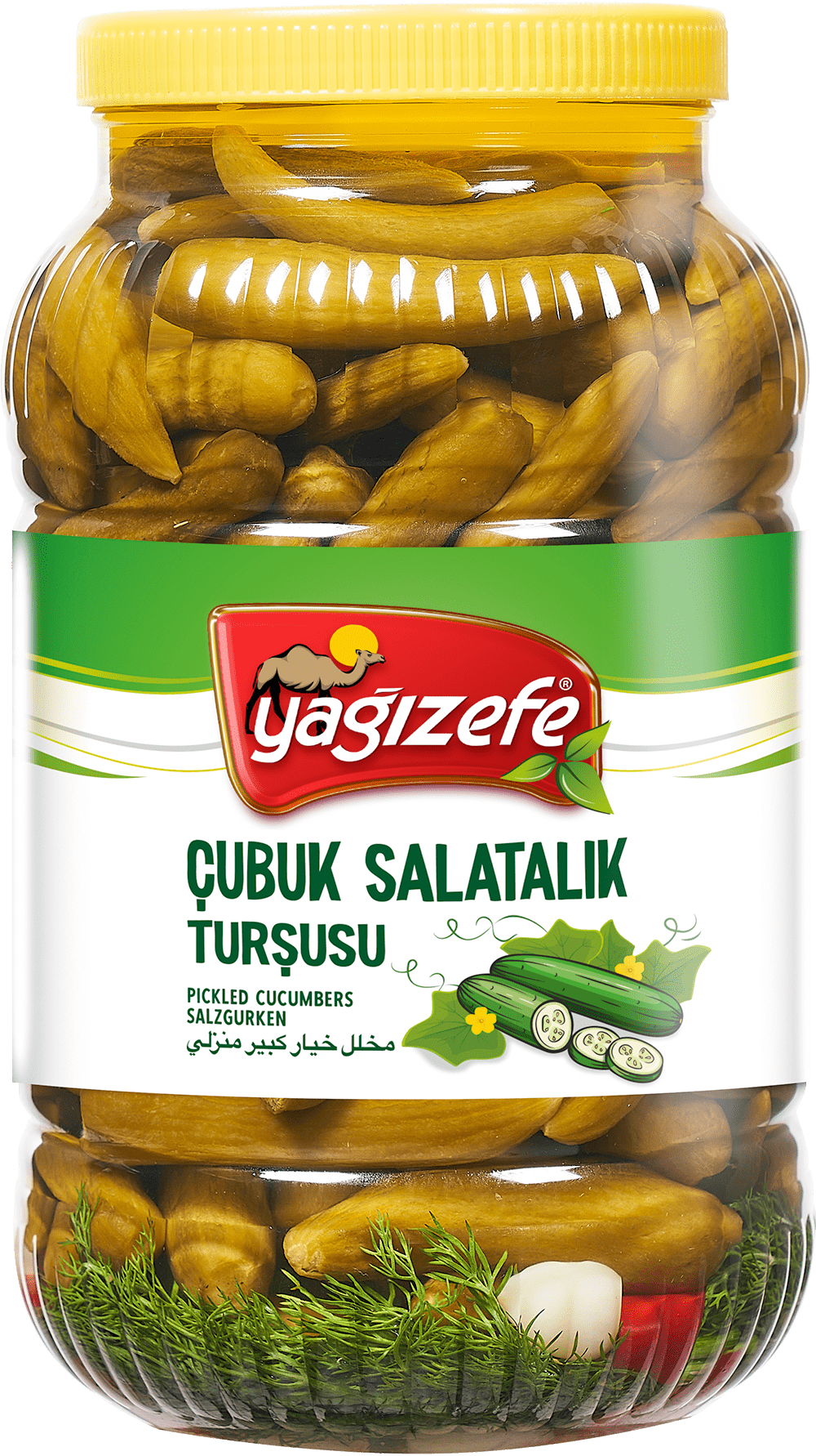 Çubuk Salatalık Turşusu No:00