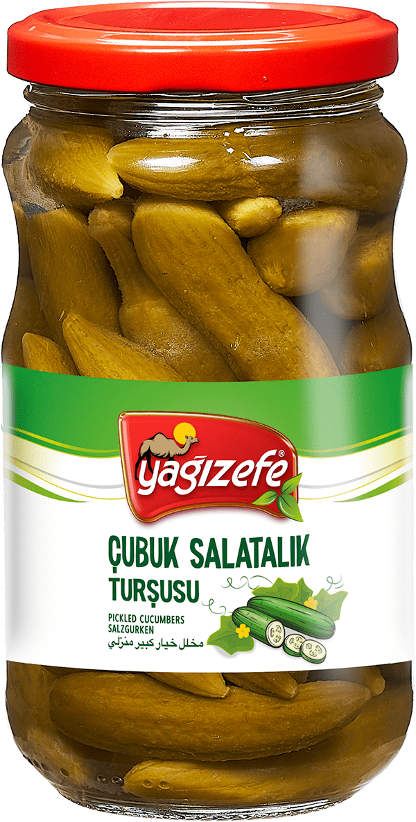 Çubuk Salatalık Turşusu No00