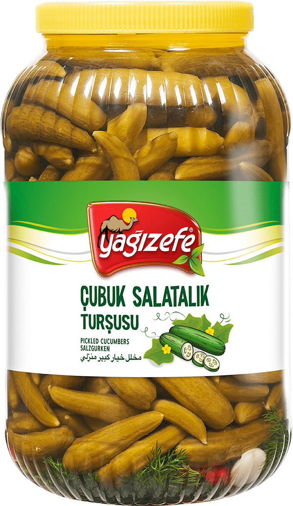 Çubuk Salatalık Turşusu No00