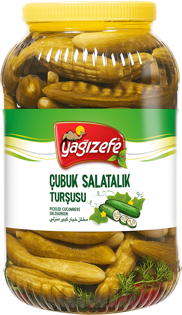 Çubuk Salatalık Turşusu No1