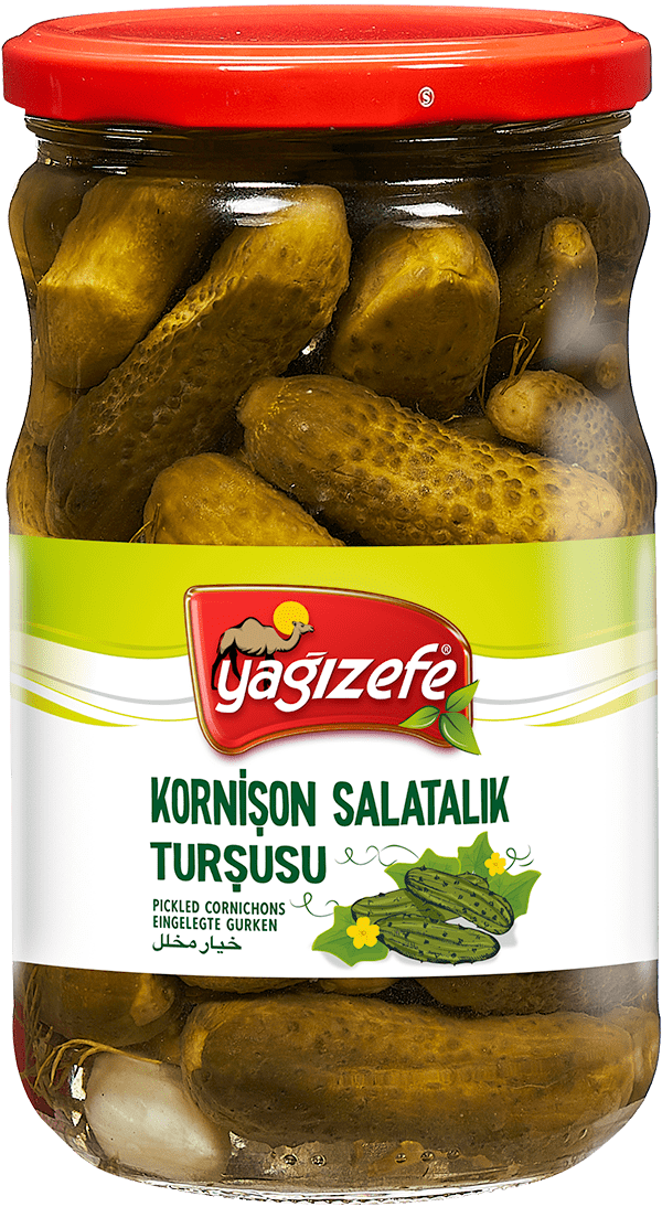 Kornişon Turşusu No:00