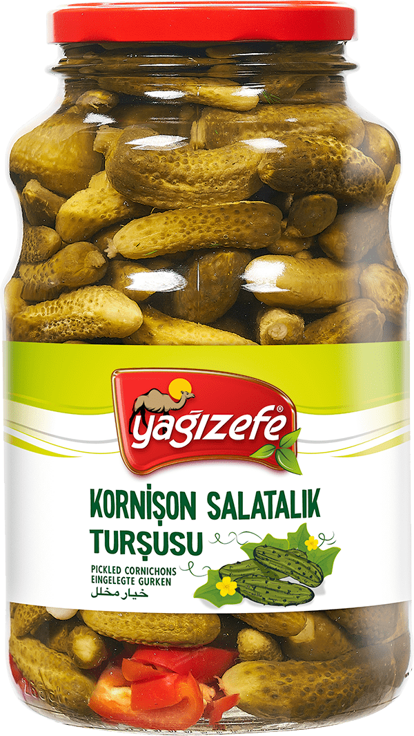 Kornişon Turşusu No:00