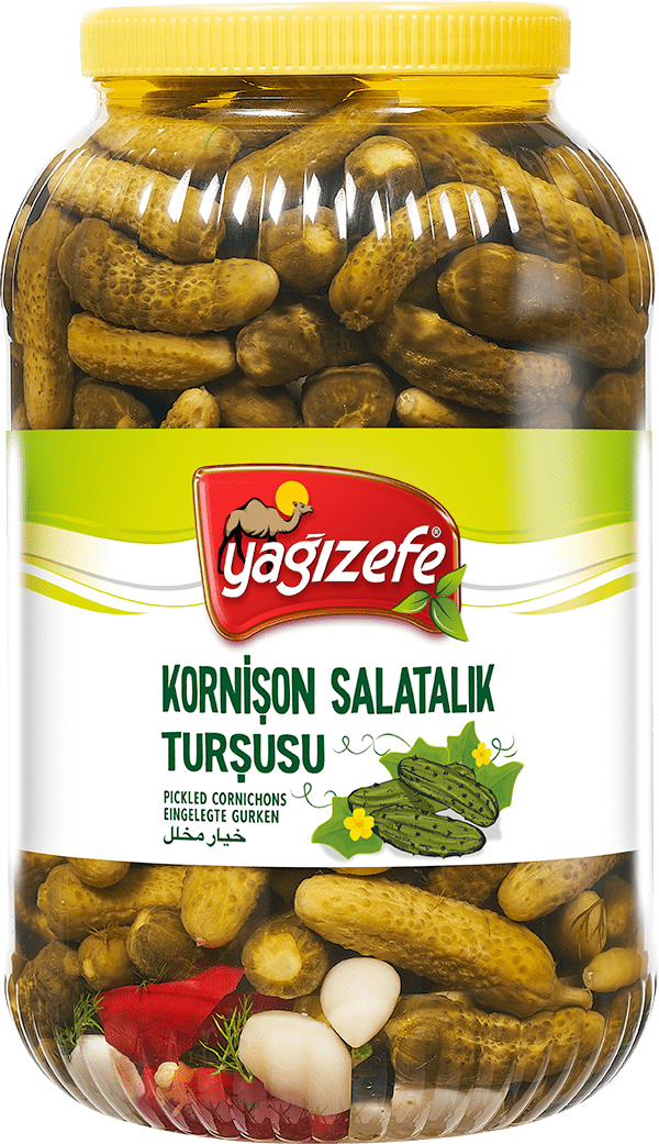 Kornişon Turşusu No:00