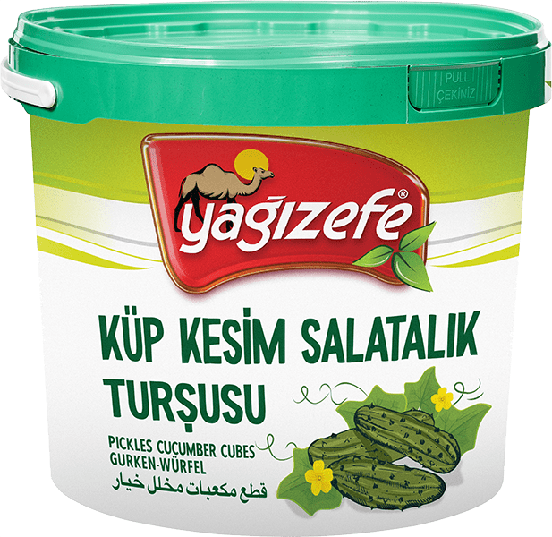 Küp Kesim Salatalık Turşusu