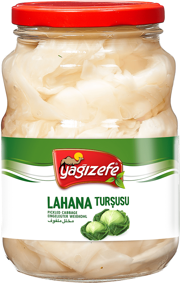 Lahana Tur usu