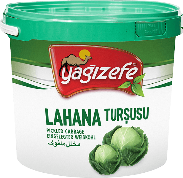 Lahana Turşusu