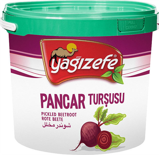 Pancar Turşusu